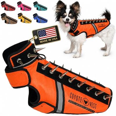 CoyoteVest SpikeVest Harnais pour petits chiens, gilet réfléchissant avec pics pour protéger votre animal de compagnie contre les faucons, les coyotes, les rapaces et les attaques d'animaux, fabriqué CoyoteVest SpikeVest Harnais pour petits chiens, gilet réfléchissant avec pics pour protéger votre animal de compagnie contre les faucons, les coyotes, les rapaces et les attaques d'animaux, fabriqué