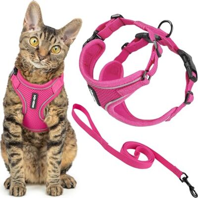 Best Pet Supplies Voyager Harnais et laisse pour chat avec coutures réfléchissantes, poignée en néoprène, pour les petits, moyens et grands chats pour promenade, fuchsia, taille XS, 1,5 m Best Pet Supplies Voyager Harnais et laisse pour chat avec coutures réfléchissantes, poignée en néoprène, pour les petits, moyens et grands chats pour promenade, fuchsia, taille XS, 1,5 m