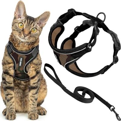 Best Pet Supplies Voyager Harnais et laisse pour chat avec coutures réfléchissantes, poignée en néoprène, pour les petits, moyens et grands chats pour promenade, armée, taille S, 1,5 m Best Pet Supplies Voyager Harnais et laisse pour chat avec coutures réfléchissantes, poignée en néoprène, pour les petits, moyens et grands chats pour promenade, armée, taille S, 1,5 m