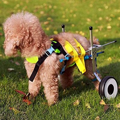 MAXWXB Cadre de marche pour pattes arrière en fauteuil roulant pour chien avec roue pour chiens légers pour le vieillissement, les handicapés, les blessés, l'arthrite, les chiens/chats/animaux faibles (XXS) MAXWXB Cadre de marche pour pattes arrière en fauteuil roulant pour chien avec roue pour chiens légers pour le vieillissement, les handicapés, les blessés, l'arthrite, les chiens/chats/animaux faibles (XXS)