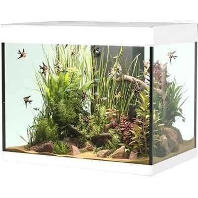 Askoll OPERA AQUARIUM 110 WHITE Askoll OPERA AQUARIUM 110 WHITE