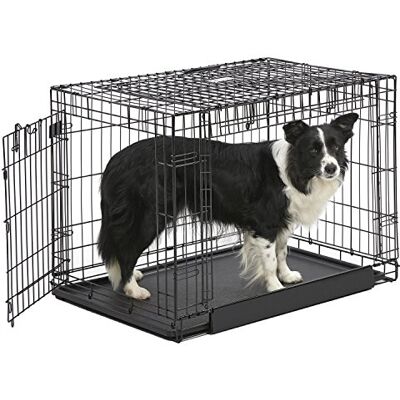 MidWest Homes for Pets Cage pour chien à deux portes Ovation, 91,44 cm MidWest Homes for Pets Cage pour chien à deux portes Ovation, 91,44 cm