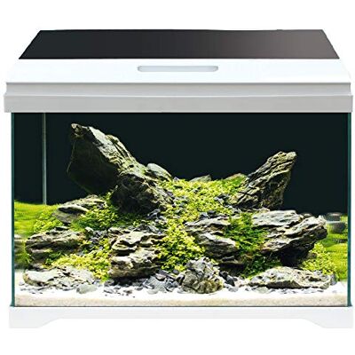 Amtra Aquarium moderne à 40 LED Aquarium complet avec éclairage LED et filtre intérieur 42,5 x 23,5 x 36,5/28 l Amtra Aquarium moderne à 40 LED Aquarium complet avec éclairage LED et filtre intérieur 42,5 x 23,5 x 36,5/28 l