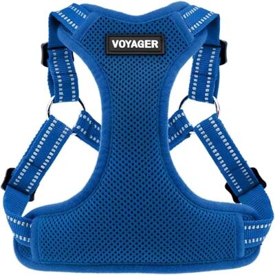 Best Pet Supplies , Inc. Voyager- entièrement réglable Step Résille Harnais réfléchissant 3M Piping Petit Bleu Royal Best Pet Supplies , Inc. Voyager- entièrement réglable Step Résille Harnais réfléchissant 3M Piping Petit Bleu Royal