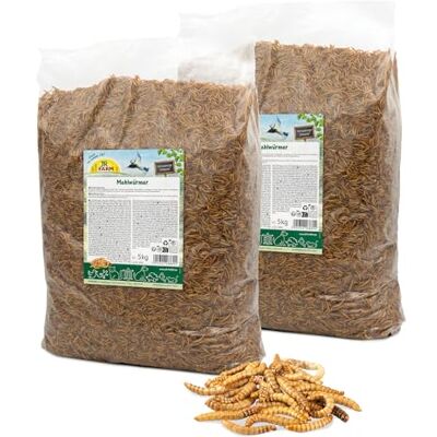 JR FARM GmbH JR Farm Garden Vers de farine 10 kg JR FARM GmbH JR Farm Garden Vers de farine 10 kg