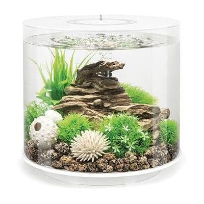 biOrb 92393 Tube de 15 LED blanches pour aquarium avec vue à 360° du monde sous-marin biOrb 92393 Tube de 15 LED blanches pour aquarium avec vue à 360° du monde sous-marin