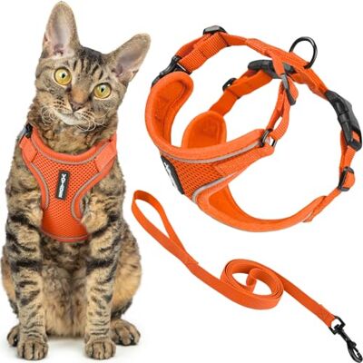 Best Pet Supplies Voyager Harnais et laisse pour chat avec coutures réfléchissantes, poignée en néoprène, pour les petits, moyens et grands chats pour promenade, orange, taille S, 1,5 m Best Pet Supplies Voyager Harnais et laisse pour chat avec coutures réfléchissantes, poignée en néoprène, pour les petits, moyens et grands chats pour promenade, orange, taille S, 1,5 m