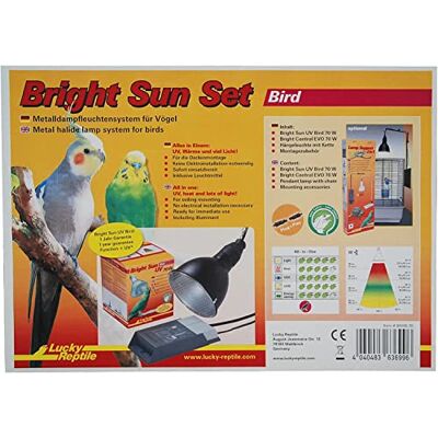 Lucky Reptile Bright Sun Set Bird – Système de lampes à vapeur métallique pour oiseaux 70 W – Lampe chauffante avec douille et ballast – Lampe à oiseaux avec spectre de lumière du jour – Kit UV pour Lucky Reptile Bright Sun Set Bird – Système de lampes à vapeur métallique pour oiseaux 70 W – Lampe chauffante avec douille et ballast – Lampe à oiseaux avec spectre de lumière du jour – Kit UV pour