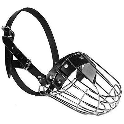 Dino Bigioni Muselière en métal pour Grand épagneul Longueur 9,5 cm Circonférence 32 cm Dino Bigioni Muselière en métal pour Grand épagneul Longueur 9,5 cm Circonférence 32 cm