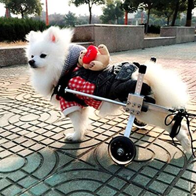 NEDOES Poussette pour chiens pour pattes arrière, fauteuil roulant pour animaux de compagnie à support réglable avec 2 roues pour pattes/pieds arrière, réparation postopératoire pour chats handicapés (X) NEDOES Poussette pour chiens pour pattes arrière, fauteuil roulant pour animaux de compagnie à support réglable avec 2 roues pour pattes/pieds arrière, réparation postopératoire pour chats handicapés (X)