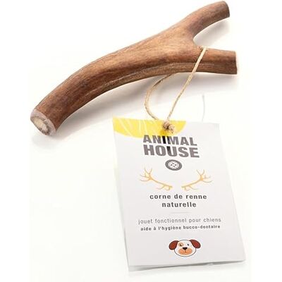 Animal House Bois de Renne pour Chien À Mâcher 100% Naturel Renforce l'Hygiène Buccale Résistant et Longue Durée Disponible dans Toutes Les Tailles Cruelty Free (M) Animal House Bois de Renne pour Chien À Mâcher 100% Naturel Renforce l'Hygiène Buccale Résistant et Longue Durée Disponible dans Toutes Les Tailles Cruelty Free (M)