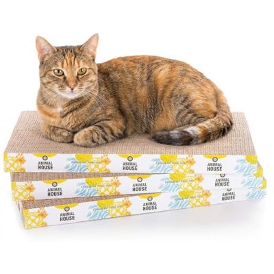 Animal House – Lot de 3 griffoirs en carton pour chats, pour le divertissement de vos compagnons félins, double face réversible (Lisse, 3) Animal House – Lot de 3 griffoirs en carton pour chats, pour le divertissement de vos compagnons félins, double face réversible (Lisse, 3)