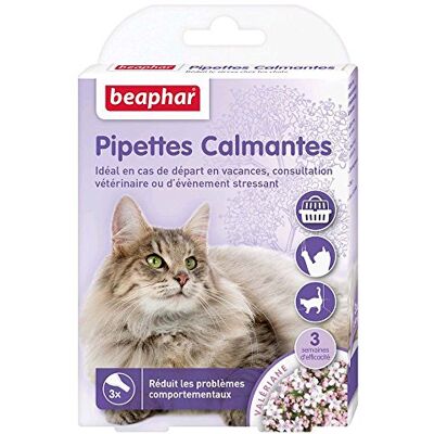 Beaphar – NO STRESS – Pipettes calmantes à la Valériane pour chat – Réduit le stress et les problèmes comportementaux sans dépendance ni somnolence – Prêt à l'emploi – 3 semaines d'action – 3 pipettes Beaphar – NO STRESS – Pipettes calmantes à la Valériane pour chat – Réduit le stress et les problèmes comportementaux sans dépendance ni somnolence – Prêt à l'emploi – 3 semaines d'action – 3 pipettes