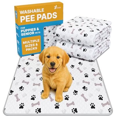 GREEN LIFESTYLE Lot de 6 tapis d'urine lavables pour chiens, très absorbants, lavables en machine, réutilisables, imperméables et absorbants avec envers antidérapant (86,4 x 91,4 cm) GREEN LIFESTYLE Lot de 6 tapis d'urine lavables pour chiens, très absorbants, lavables en machine, réutilisables, imperméables et absorbants avec envers antidérapant (86,4 x 91,4 cm)