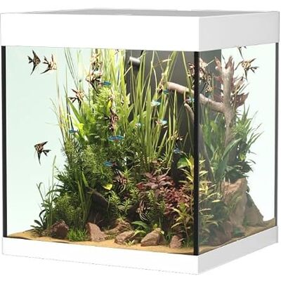 Askoll OPERA AQUARIUM 80 WHITE Askoll OPERA AQUARIUM 80 WHITE