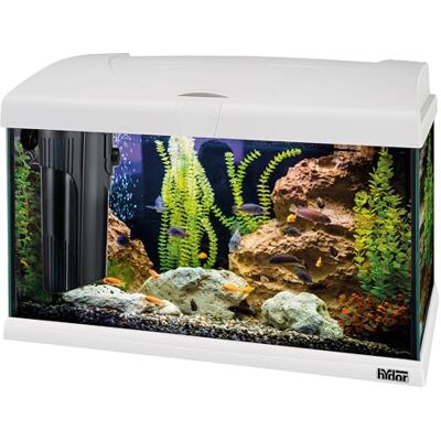Hydor Aquarium complet 40L tropical ou d'eau douce Accessoires d'aquarium : lampe LED, filtre intérieur, chauffage, 52 x 27 x 36 cm, en verre blanc Hydor Aquarium complet 40L tropical ou d'eau douce Accessoires d'aquarium : lampe LED, filtre intérieur, chauffage, 52 x 27 x 36 cm, en verre blanc
