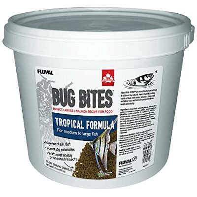 Fluval Bug Bites Nourriture pour Poissons Tropicaux - Nourriture naturelle et riche en nutriments Fluval Bug Bites Nourriture pour Poissons Tropicaux - Nourriture naturelle et riche en nutriments