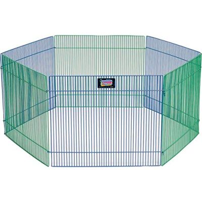 MidWest Homes for Pets Parc de jeu pour petit animal de compagnie, 0,55 mètres carrés d'espace de jeu, 81 x 81 x 3,8 cm, parc pour petits animaux, bleu et vert, modèle 100-15 MidWest Homes for Pets Parc de jeu pour petit animal de compagnie, 0,55 mètres carrés d'espace de jeu, 81 x 81 x 3,8 cm, parc pour petits animaux, bleu et vert, modèle 100-15
