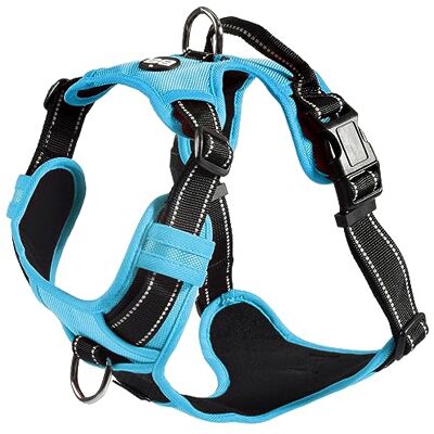 Bobby Rando Walk Harnais pour chien Taille M en nylon réfléchissant, boucles réglables à fermeture sécurisée, facile à porter, bleu tour de cou 40-63 cm, tour de poitrine 51-66 cm Bobby Rando Walk Harnais pour chien Taille M en nylon réfléchissant, boucles réglables à fermeture sécurisée, facile à porter, bleu tour de cou 40-63 cm, tour de poitrine 51-66 cm