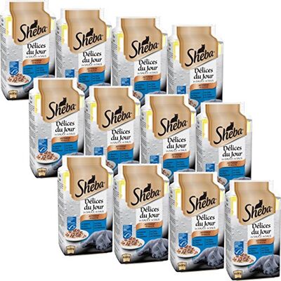 Sheba Délices du jour Sachets Fraîcheur pour Chat Adulte, Sélection aux Poissons en Sauce 6x50g Pack de 12 Sheba Délices du jour Sachets Fraîcheur pour Chat Adulte, Sélection aux Poissons en Sauce 6x50g Pack de 12
