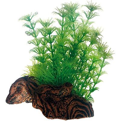 Hobby Flora Root 3S Plante pour Aquariophilie 17 cm Hobby Flora Root 3S Plante pour Aquariophilie 17 cm