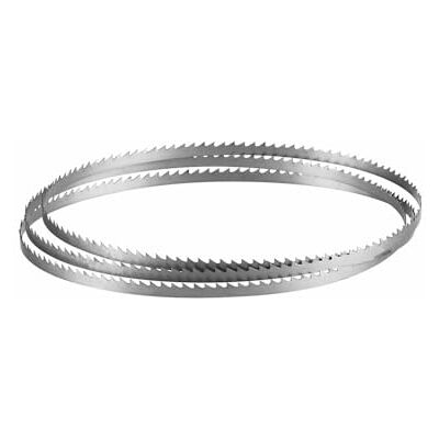 Bosch BS62-18MA Lame de scie à ruban stationnaire pour usage général 18 TPI 157,5 cm Bosch BS62-18MA Lame de scie à ruban stationnaire pour usage général 18 TPI 157,5 cm
