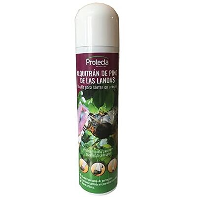 BIOSIX Pulvérisateur de pin des landes Mastic pour coupe d'épouses et greffes en spray (Spray) 300 ml BIOSIX Pulvérisateur de pin des landes Mastic pour coupe d'épouses et greffes en spray (Spray) 300 ml