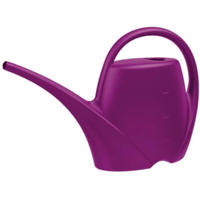 Plastkon Arrosoir à ressort 1,7 l (violet) Mini arrosoir de jardin en plastique de haute qualité, pratique et facile à utiliser Plastkon Arrosoir à ressort 1,7 l (violet) Mini arrosoir de jardin en plastique de haute qualité, pratique et facile à utiliser