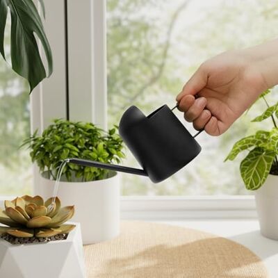 Bamworld Petit Arrosoir Interieur Exterieure Metal Acier Inoxydable Bec Long Pour Plantes Dinterieur Et Jardin 300ml Decoratif Mignon Pour Bonsaï Succulentes Noir Bamworld Petit Arrosoir Interieur Exterieure Metal Acier Inoxydable Bec Long Pour Plantes Dinterieur Et Jardin 300ml Decoratif Mignon Pour Bonsaï Succulentes Noir