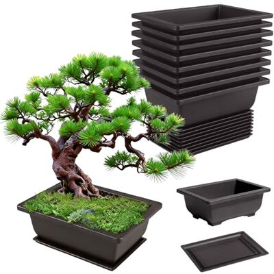 GBKDQQ Lot de 8 bols à bonsaï, 16,5 x 12 x 6 cm, avec plateaux, réutilisables, en plastique, pots à bonsaï, adaptés pour les cours, le salon, les balcons, les jardins, le bureau (noir) GBKDQQ Lot de 8 bols à bonsaï, 16,5 x 12 x 6 cm, avec plateaux, réutilisables, en plastique, pots à bonsaï, adaptés pour les cours, le salon, les balcons, les jardins, le bureau (noir)