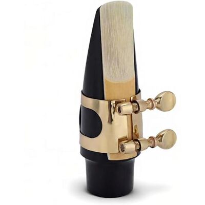 Drfeify Embouchure de Saxophone Alto, Embouchure de Saxo ABS avec Capuchon et Boucle en métal Pads Drfeify Embouchure de Saxophone Alto, Embouchure de Saxo ABS avec Capuchon et Boucle en métal Pads