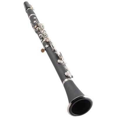 VBESTLIFE 17 touches bak¨¦lite clarinette Sib Tune avec chiffon de nettoyage ¨¤ ressort tournevis bo?te Instrument de musique(noir) VBESTLIFE 17 touches bak¨¦lite clarinette Sib Tune avec chiffon de nettoyage ¨¤ ressort tournevis bo?te Instrument de musique(noir)