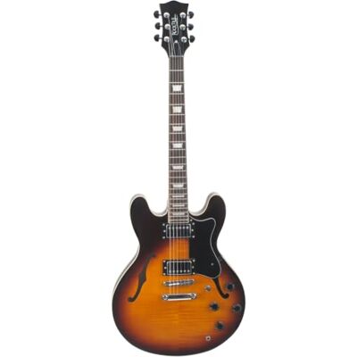 Rocktile Pro HB100-SB Guitare électrique (corps semi-résonant/hollowbody, 2 Humbucker, touche en palissandre, manche en érable, échelle : 65 cm, largeur de sillet : 43 mm) Sunburst Rocktile Pro HB100-SB Guitare électrique (corps semi-résonant/hollowbody, 2 Humbucker, touche en palissandre, manche en érable, échelle : 65 cm, largeur de sillet : 43 mm) Sunburst