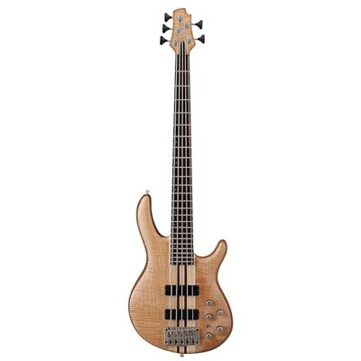 Cort B-001-0749-0 Professional Electric Bass 5 String Cort B-001-0749-0 Professional Electric Bass 5 String
