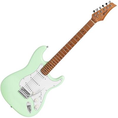 Tiger ELG-MG guitare électrique pleine taille vert menthe Tiger ELG-MG guitare électrique pleine taille vert menthe