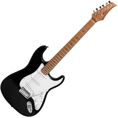 Tiger ELG-BK guitare électrique pleine taille noire Tiger ELG-BK guitare électrique pleine taille noire