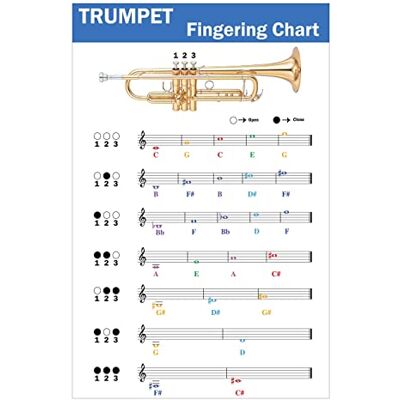 QMG Tableau de doigté trompette avec notes de code couleur, apprendre la technique de trompette adapté à tous les niveaux, fabriqué aux États-Unis QMG Tableau de doigté trompette avec notes de code couleur, apprendre la technique de trompette adapté à tous les niveaux, fabriqué aux États-Unis