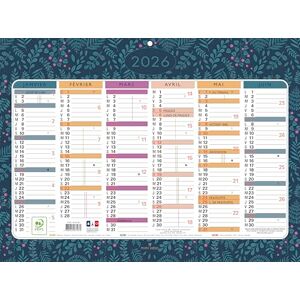 EXACOMPTA 34353E Calendrier Mini Labo avec décor recto-verso 29,5 x 22 cm Semestriel janvier à décembre 2024 EXACOMPTA 34353E Calendrier Mini Labo avec décor recto-verso 29,5 x 22 cm Semestriel janvier à décembre 2024