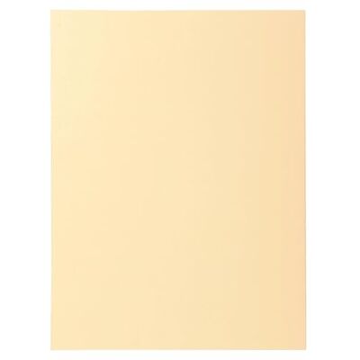 EXACOMPTA Paquet 100 chemises nature future jura 250 EXACOMPTA Paquet 100 chemises nature future jura 250