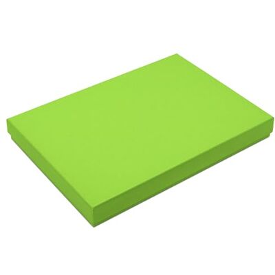 NEUSER PAPIER Lot de 50 boîtes de rangement format A4 de qualité supérieure 30,2 x 21,3 x 2,1 cm Vert clair Carton stable de 650 g/m² NEUSER PAPIER Lot de 50 boîtes de rangement format A4 de qualité supérieure 30,2 x 21,3 x 2,1 cm Vert clair Carton stable de 650 g/m²