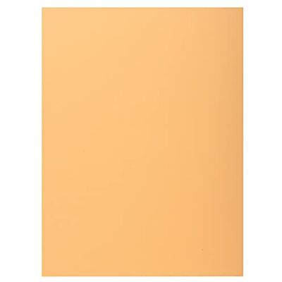 EXACOMPTA Réf. 339002E Carton de 5 paquets de 50 chemises rigides avec 1 rabat SUPER 210 g/m² couleurs pastel chemises certifiées PEFC™- dim 24 x 32 cm pour format A4 couleur bulle EXACOMPTA Réf. 339002E Carton de 5 paquets de 50 chemises rigides avec 1 rabat SUPER 210 g/m² couleurs pastel chemises certifiées PEFC™- dim 24 x 32 cm pour format A4 couleur bulle