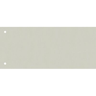 BRUNNEN 106604080 Lot de 100 intercalaires en carton perforé Gris 10,5 x 24 cm BRUNNEN 106604080 Lot de 100 intercalaires en carton perforé Gris 10,5 x 24 cm