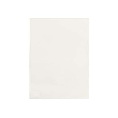 Esselte 395900800 enveloppe en polypropylène,Format A5,Paquet de 25 enveloppes,transparent Esselte 395900800 enveloppe en polypropylène,Format A5,Paquet de 25 enveloppes,transparent