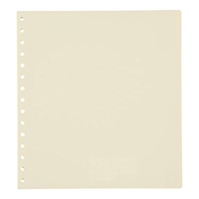 PARDO 102908 Sachet de 10 séparateurs pour album de timbres PARDO 102908 Sachet de 10 séparateurs pour album de timbres