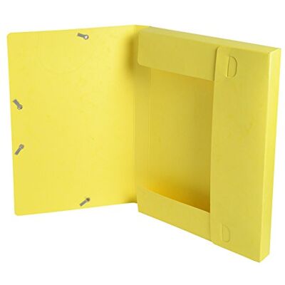 EXACOMPTA 18500H Boîte d'archivage en carton manille Dos 25 mm Format A4 Couleurs assorties EXACOMPTA 18500H Boîte d'archivage en carton manille Dos 25 mm Format A4 Couleurs assorties