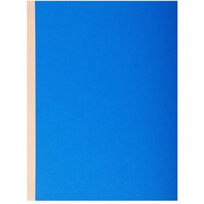 EXACOMPTA Paquet de 10 chemises a soufflet dos toile 320g/m2 a4 EXACOMPTA Paquet de 10 chemises a soufflet dos toile 320g/m2 a4