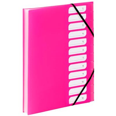 Viquel Trieur Document A4 avec 12 Compartiments Organisateur de bureau extensible Porte document A4 avec index Fermeture par élastique Gamme FEEL'EASY Rose Viquel Trieur Document A4 avec 12 Compartiments Organisateur de bureau extensible Porte document A4 avec index Fermeture par élastique Gamme FEEL'EASY Rose