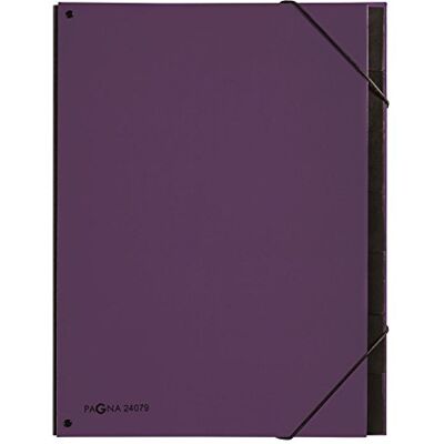 Pagna 24079-12 Trend Lot de 7 classeurs à pupitre Violet Pagna 24079-12 Trend Lot de 7 classeurs à pupitre Violet