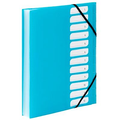 Viquel Trieur Document A4 avec 12 Compartiments Organisateur de bureau extensible Porte document A4 avec index Fermeture par élastique Gamme FEEL'EASY Bleu Turquoise Viquel Trieur Document A4 avec 12 Compartiments Organisateur de bureau extensible Porte document A4 avec index Fermeture par élastique Gamme FEEL'EASY Bleu Turquoise