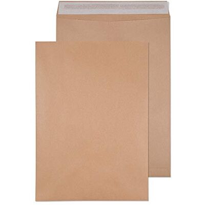 Blake Everyday enveloppe C3 (45 x 32.4cm) lot de 125 unités 115 GSM enveloppe kraft manille avec bande autocollante pack múltiple papeterie Modèle 23872 Blake Everyday enveloppe C3 (45 x 32.4cm) lot de 125 unités 115 GSM enveloppe kraft manille avec bande autocollante pack múltiple papeterie Modèle 23872